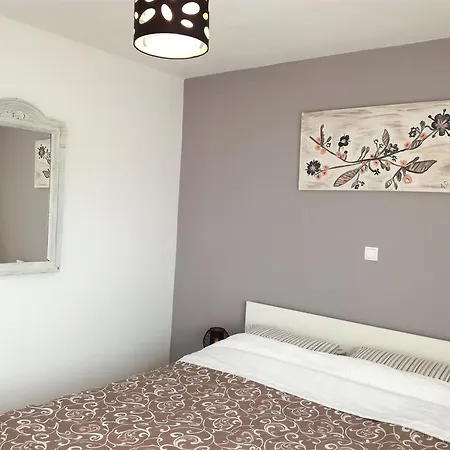 Casa de hóspedes Dragic - Anex