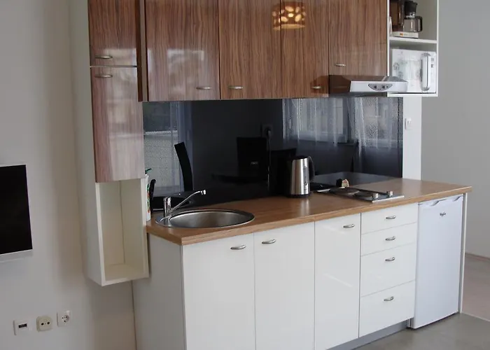 Guest house Dragic - Anex