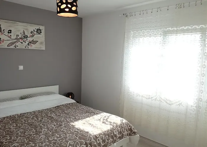 Dragic - Anex Guest house